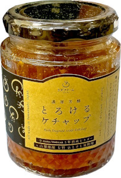 画像1: とろけるトマトのケチャップ　200g (1)